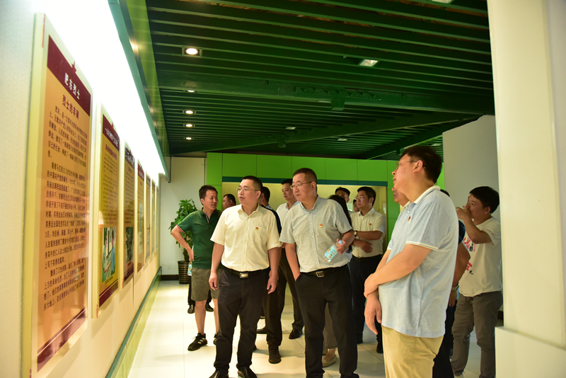 市政分公司黨總支、合肥市重點(diǎn)局直屬黨委第二黨支部聯(lián)合開展主題黨日活動(dòng)3