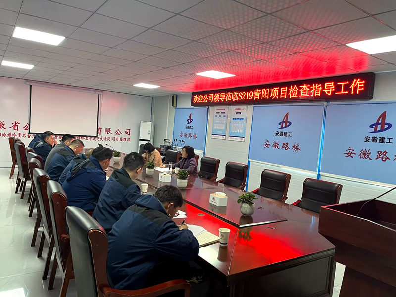 公司黨委委員、紀委書記王鵬到S219青陽改建項目調(diào)研指導工作